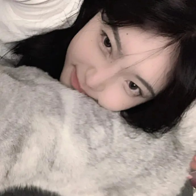朋友与鳄鱼 海报
